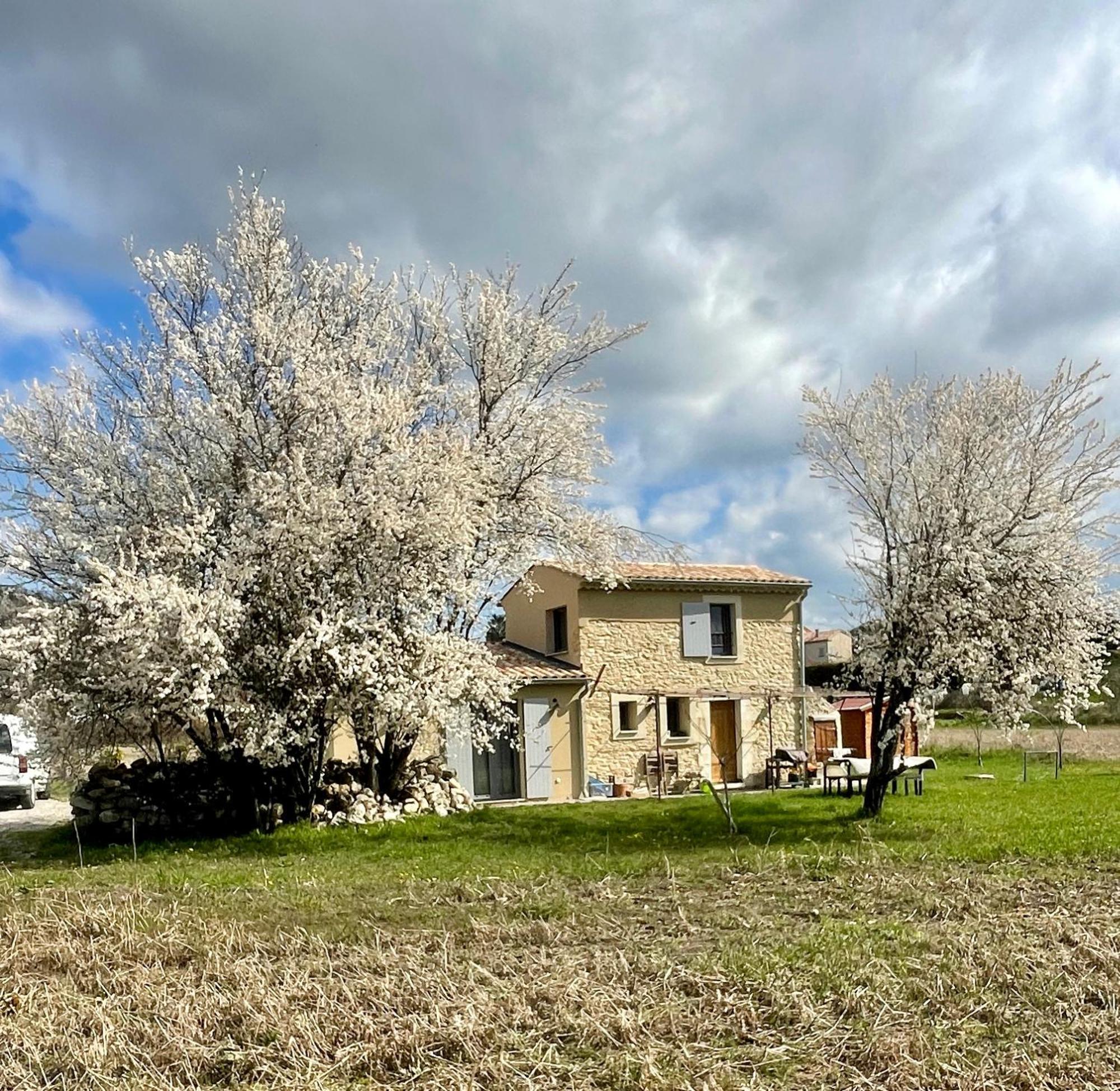 Le Petit Cabanon Provencal Villa Mane  Buitenkant foto